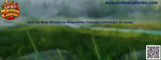 Imagen de referencia de Blue Wizard para consultar su guía de juego, reglas y funciones en Maquinitas Caliente