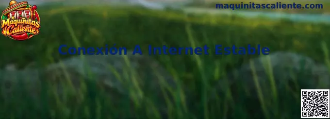 Guía para mantener una conexión a internet estable durante juegos y servicios en línea