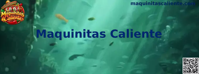 Maquinitas Caliente Catálogo de Tragamonedas