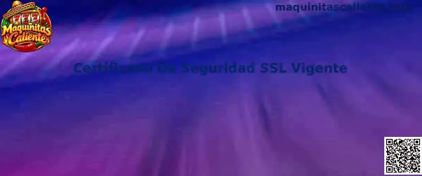 Guía visual para revisar HTTPS y un certificado de seguridad SSL vigente
